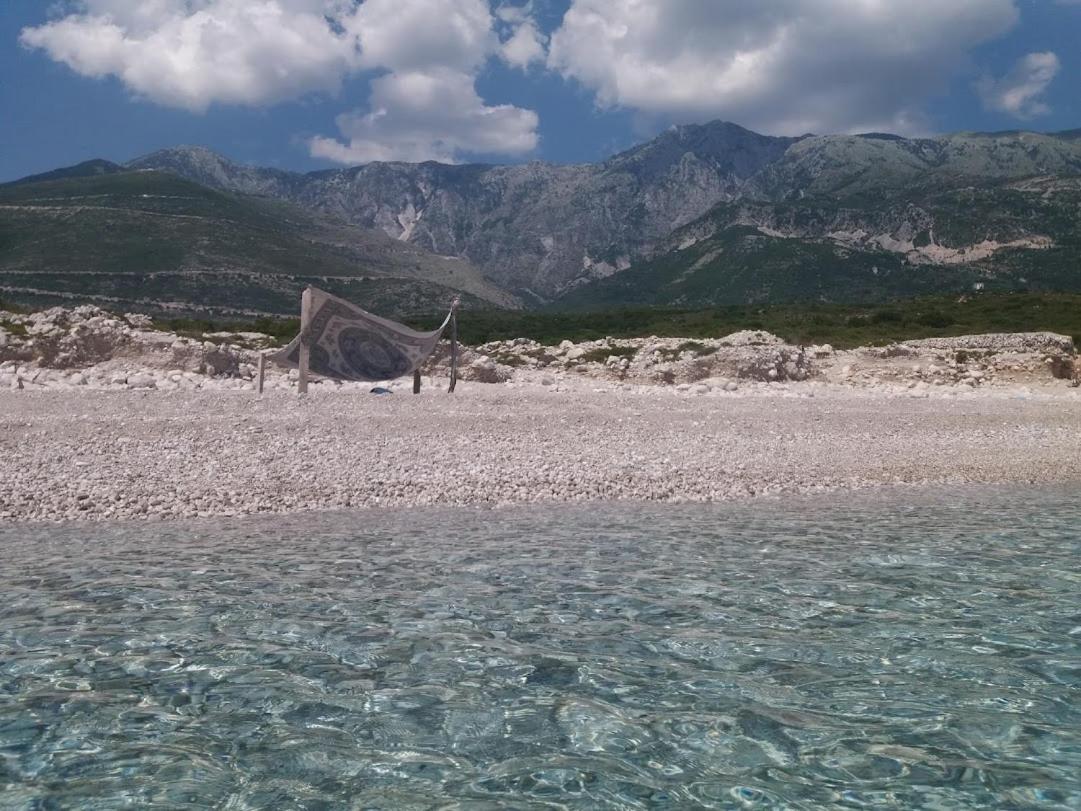 Pinegroove Hostel Vlora Екстер'єр фото