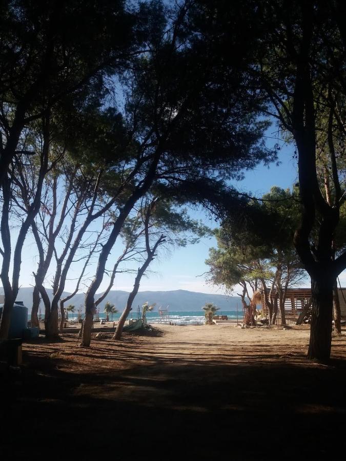 Pinegroove Hostel Vlora Екстер'єр фото