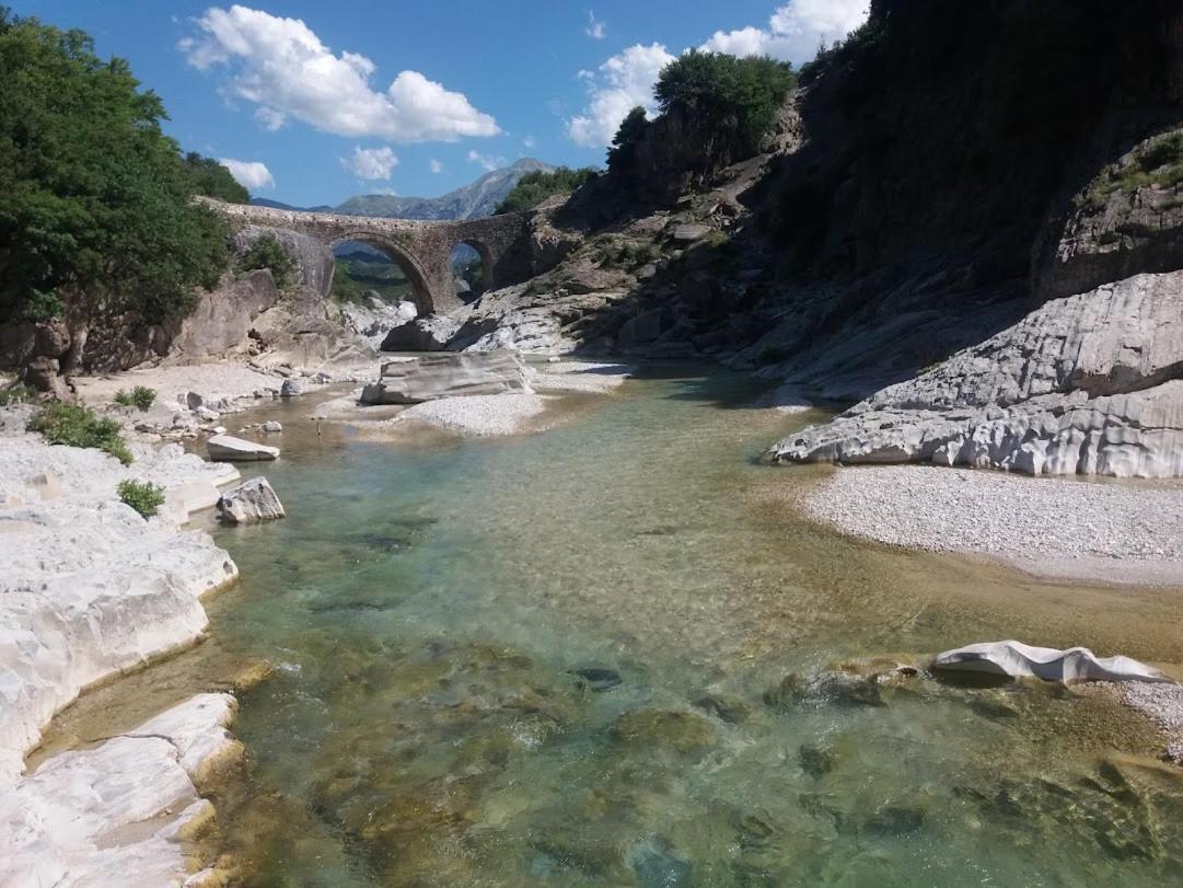 Pinegroove Hostel Vlora Екстер'єр фото